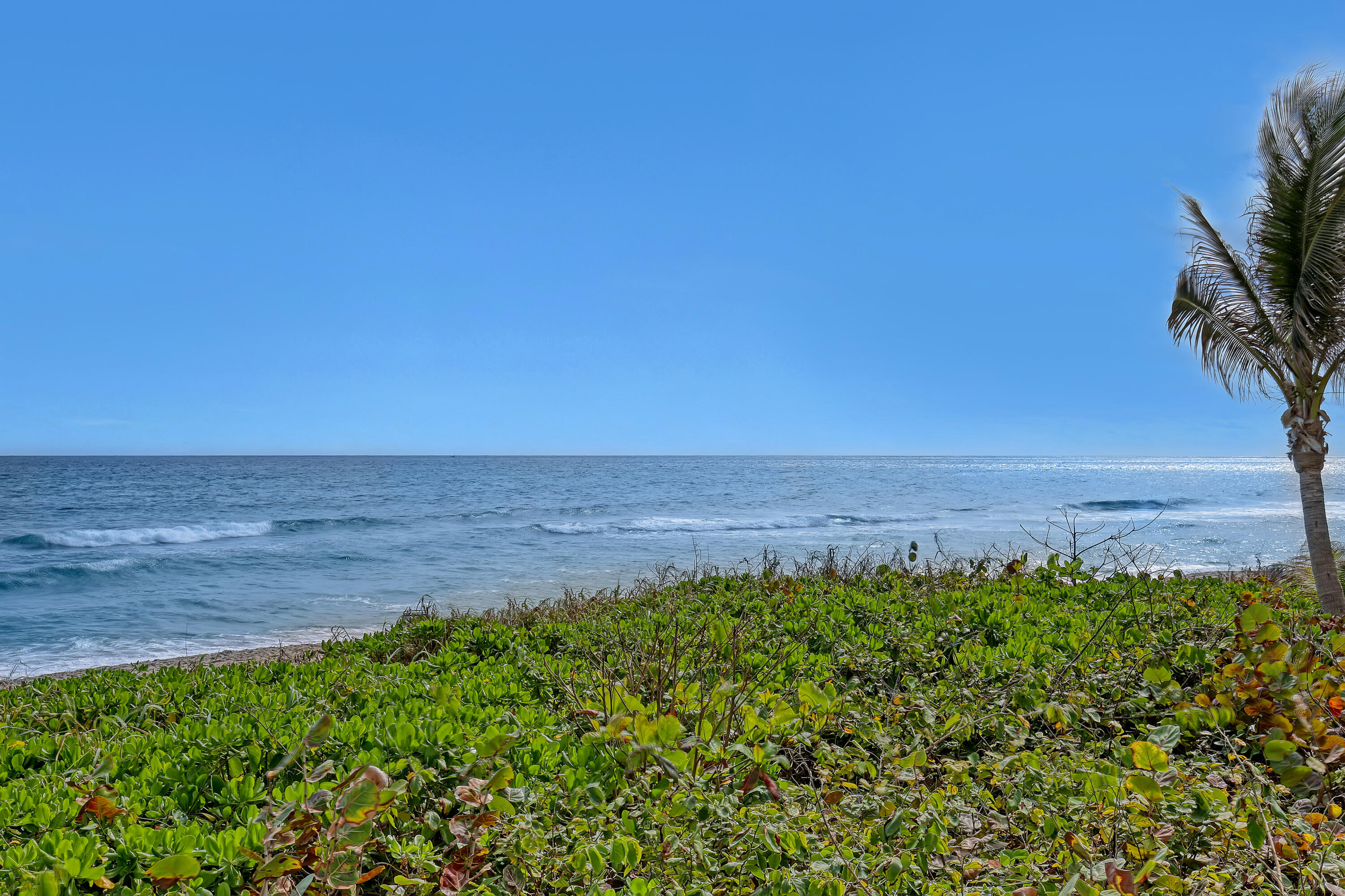 3301 S Ocean Boulevard 905 Property Photo 45