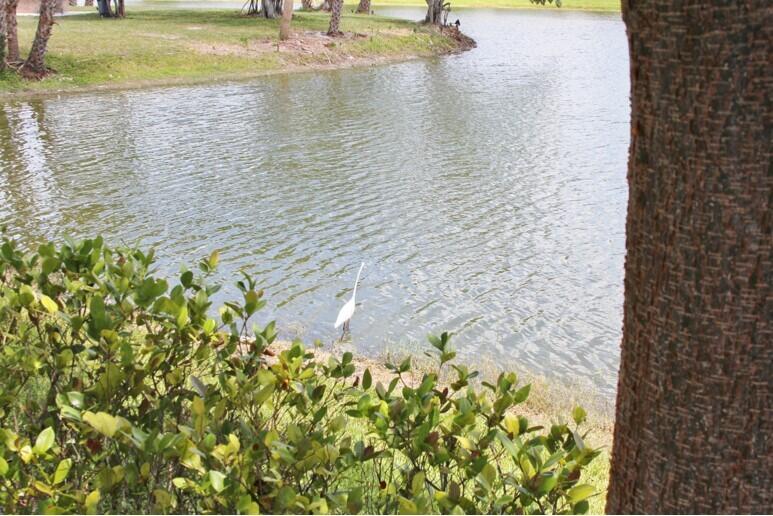 30 Chatham B Property Photo 41