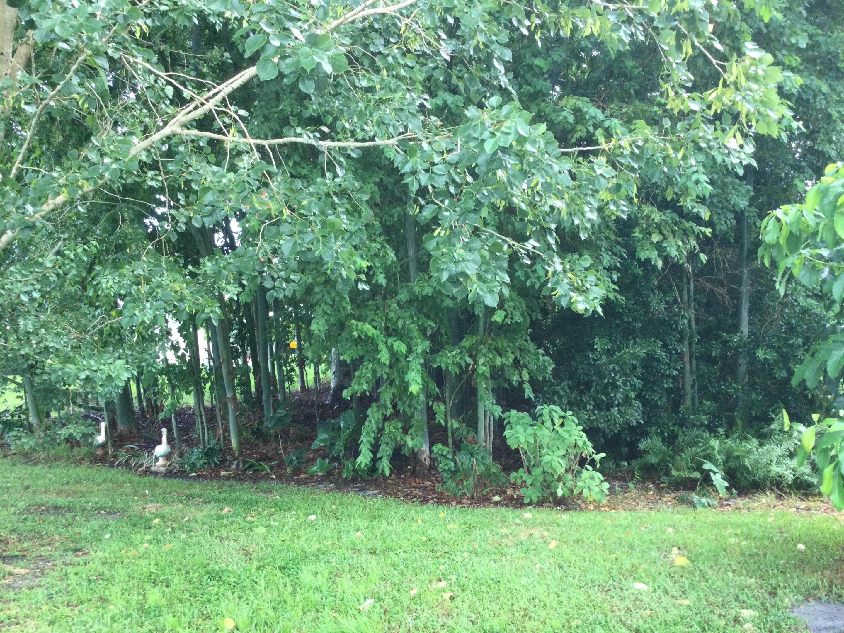 8 Santa Fe Lane Property Photo 17
