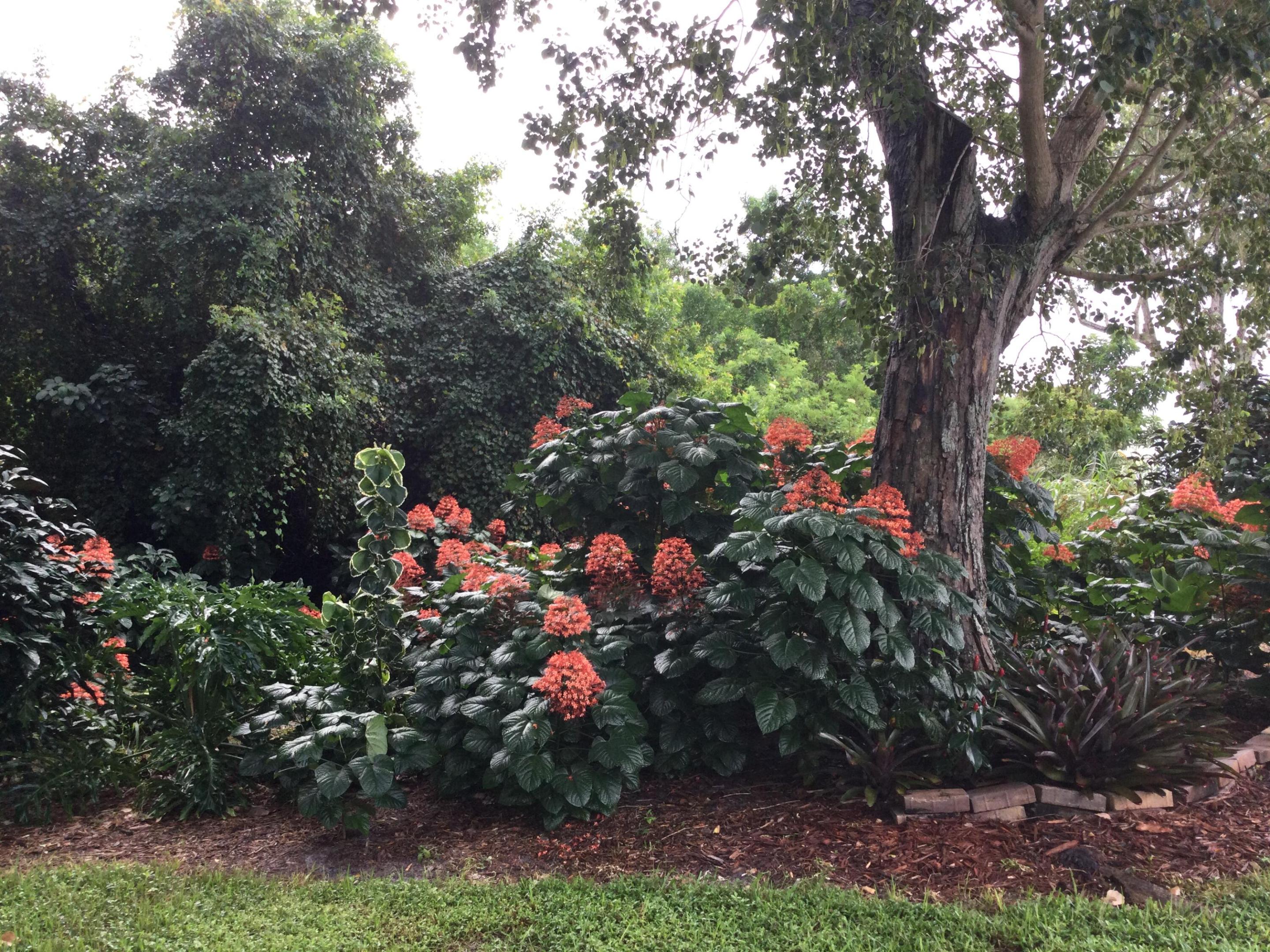 8 Santa Fe Lane Property Photo 19