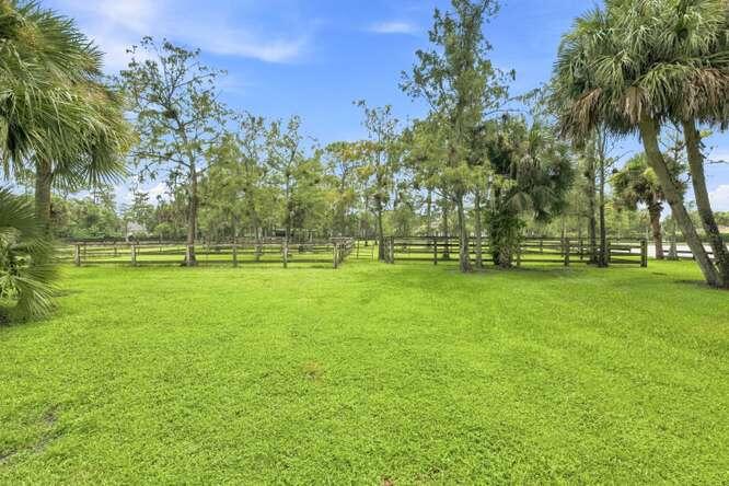 14902 Paddock Drive Property Photo 4