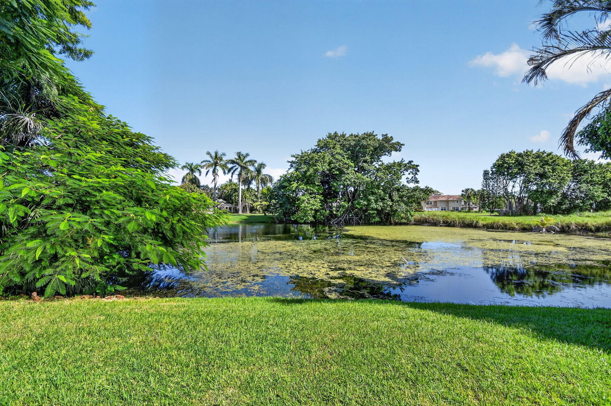 45 Heather Cove Drive Property Photo 2