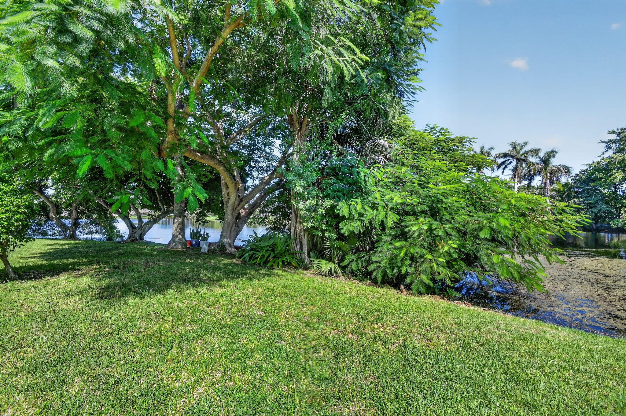 45 Heather Cove Drive Property Photo 46