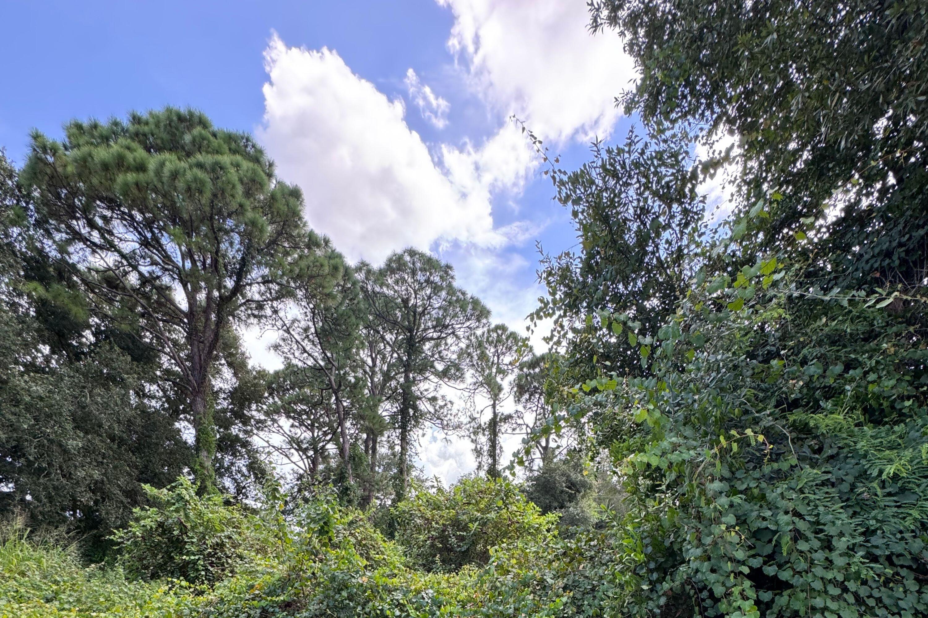 6801 Deland Avenue Property Photo 1