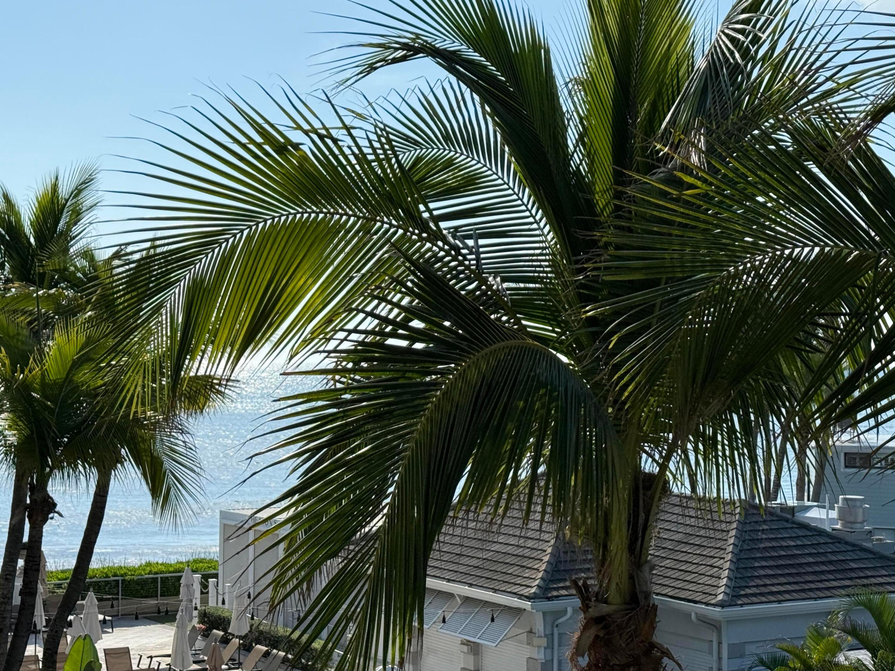 3500 Ocean 312a And 312b Property Photo 26