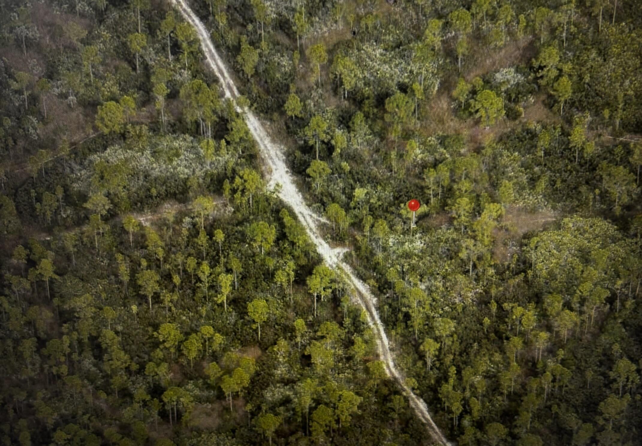 0 Unassigned Poinciana Gardens Property Photo 1