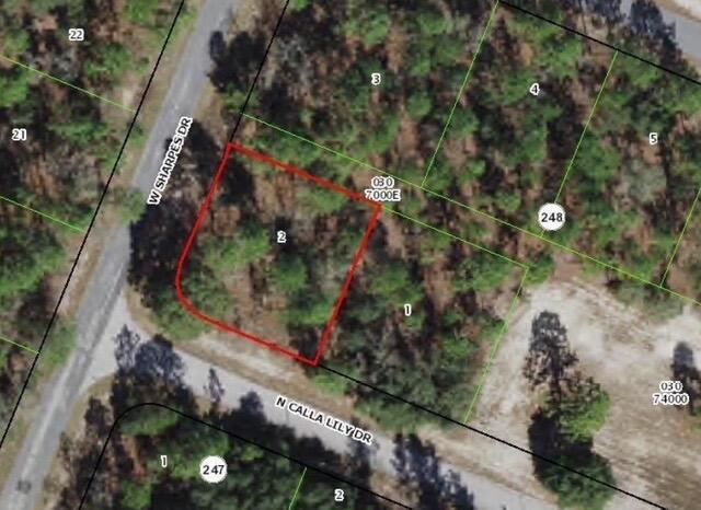 9735 N CALLA LILY Way Property Photo 1