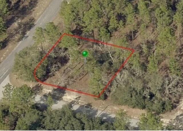 9735 N Calla Lily Way Property Photo 2