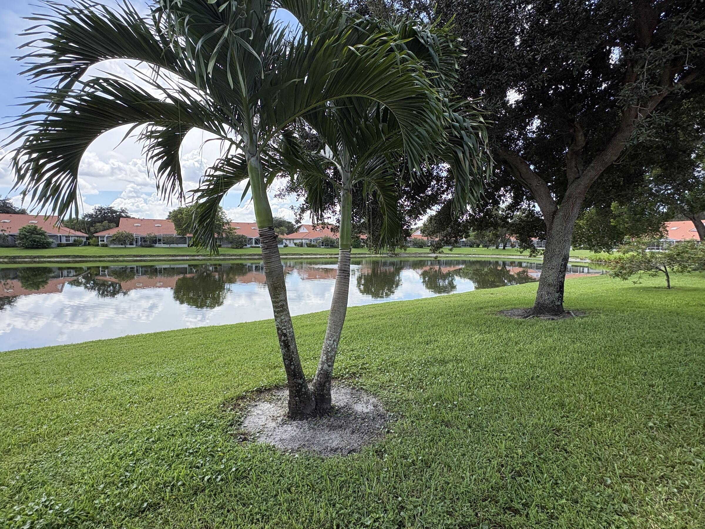 7702 Majestic Palm Drive Property Photo 20