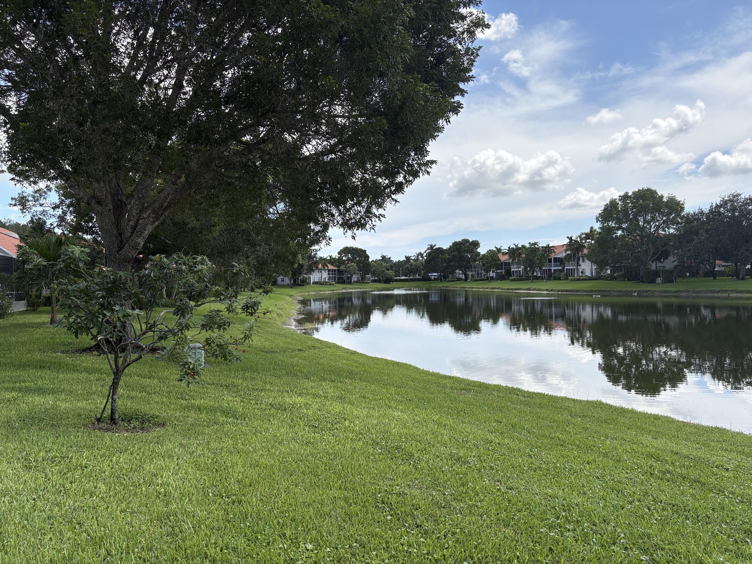 7702 Majestic Palm Drive Property Photo 21