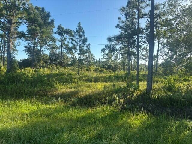 0 N Hwy 441 Property Photo 2