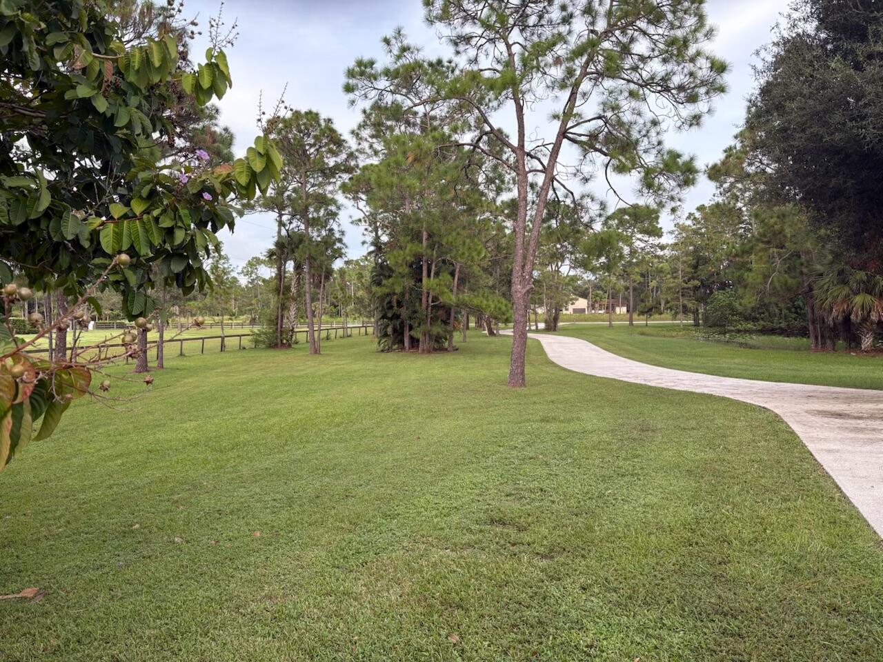 5637 Cougars Prowl Property Photo 10
