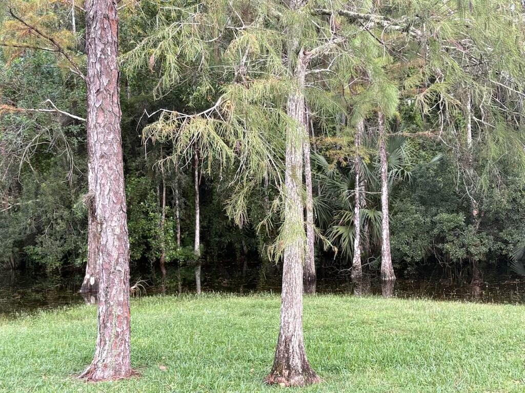 5637 Cougars Prowl Property Photo 14