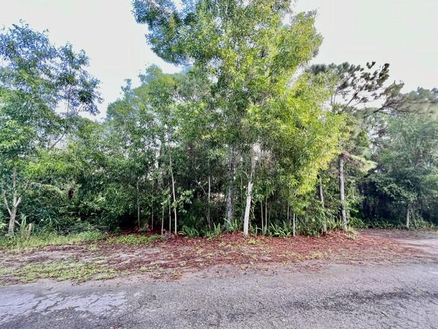 Xxx 182nd Road N