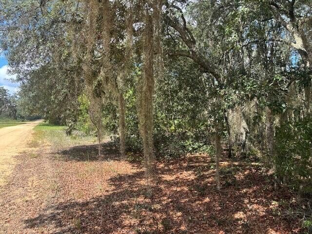 0 Hurley Street Property Photo 1