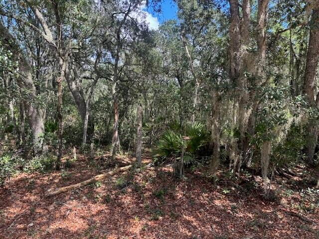 0 Hurley Street Property Photo 2