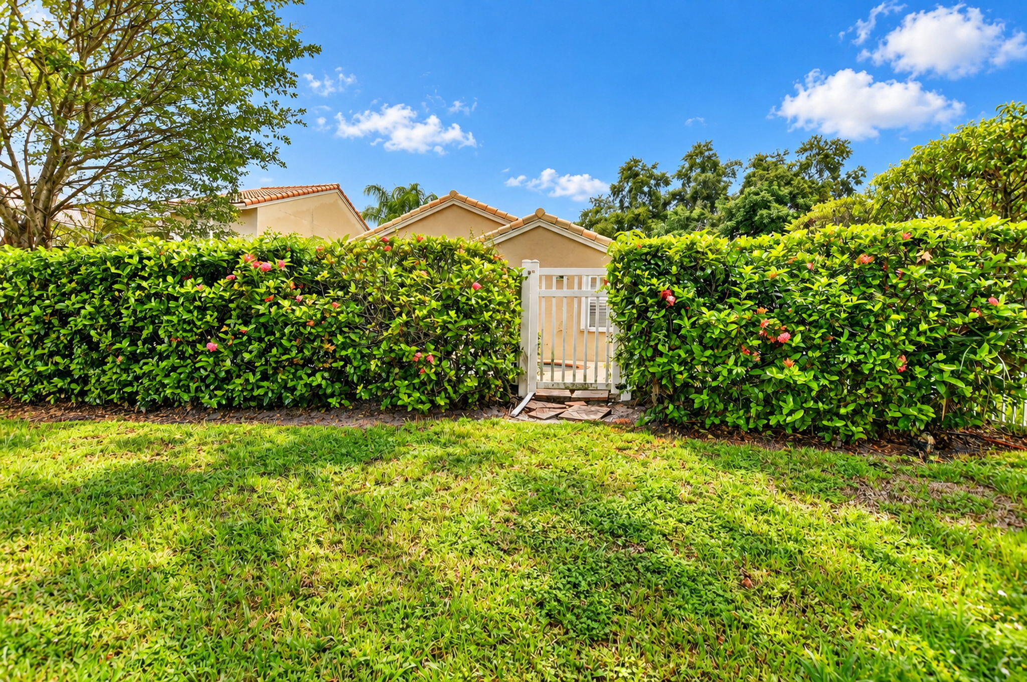 10356 Sunstream Lane Property Photo 47