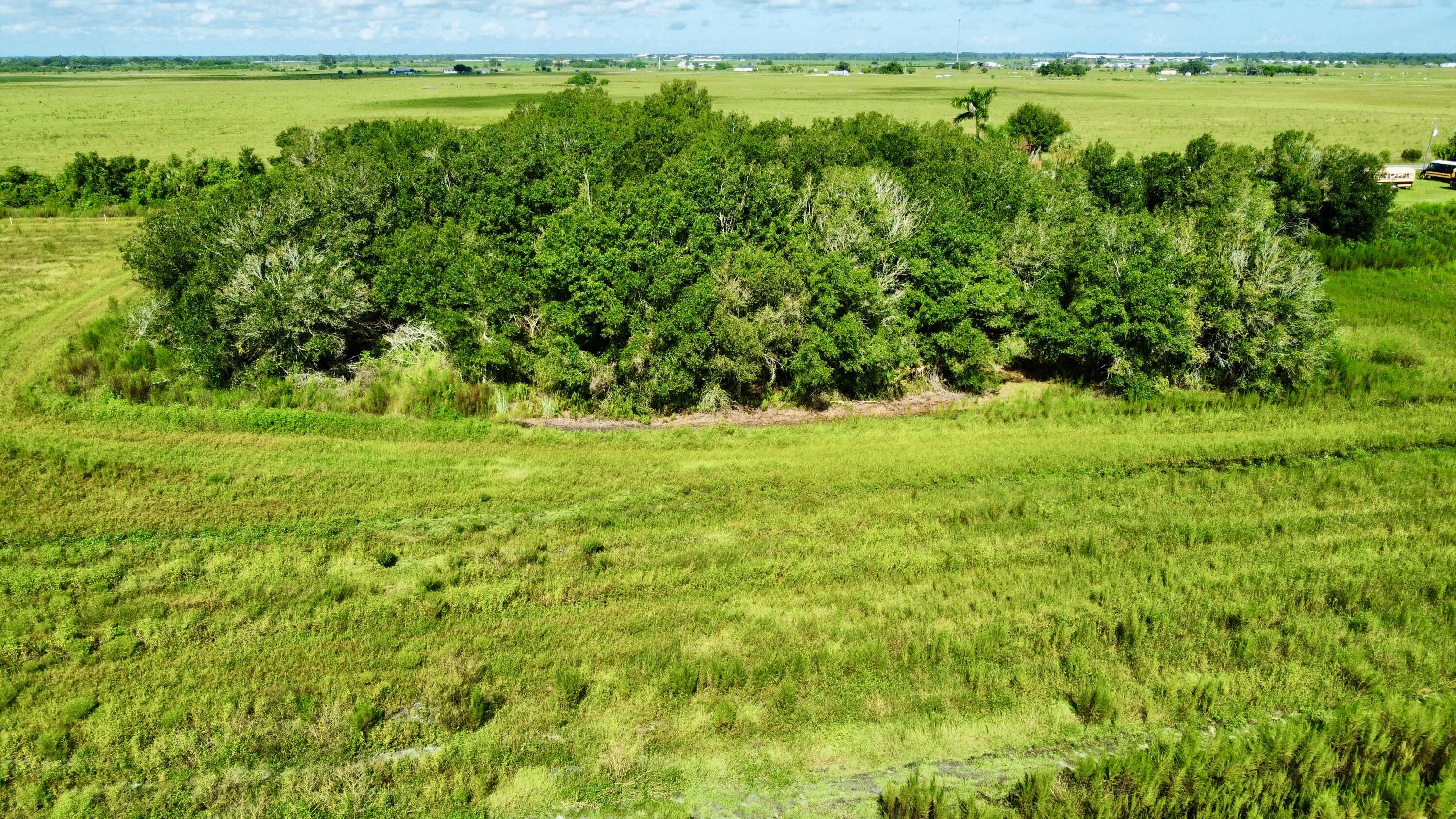 2258 Starns Loop Road Property Photo 9