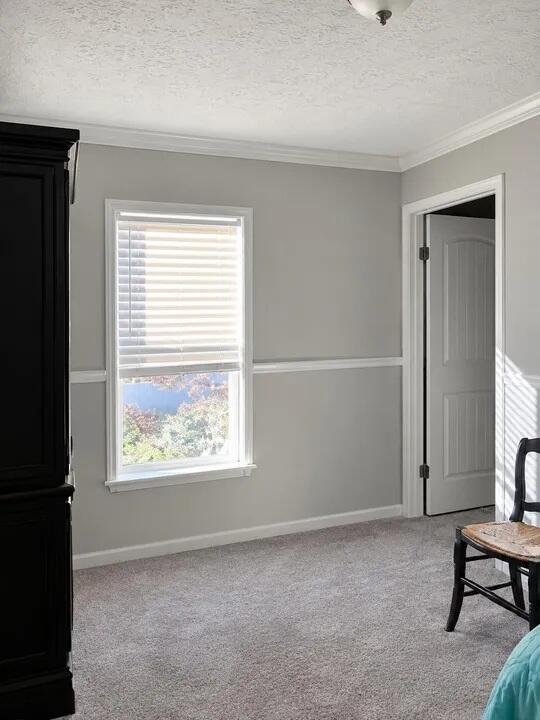 56 Manor Drive Property Photo 12