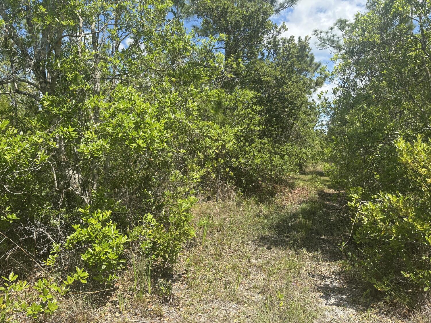 0 Holopaw Groves Road Property Photo 2