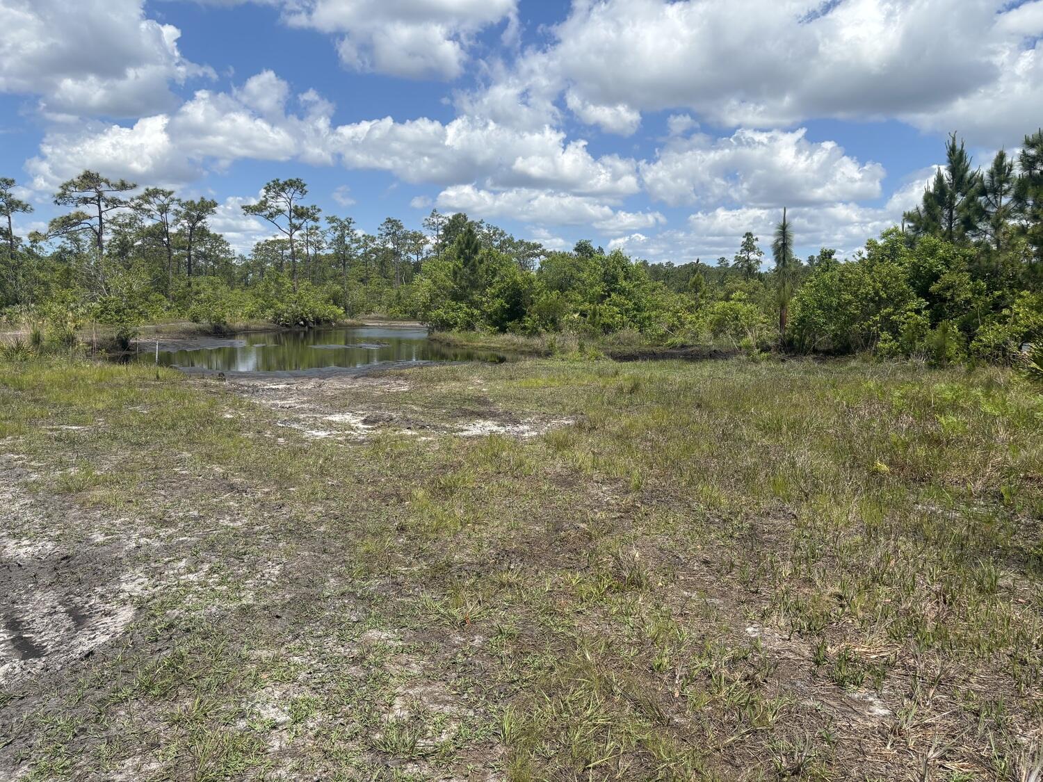 0 Holopaw Groves Road