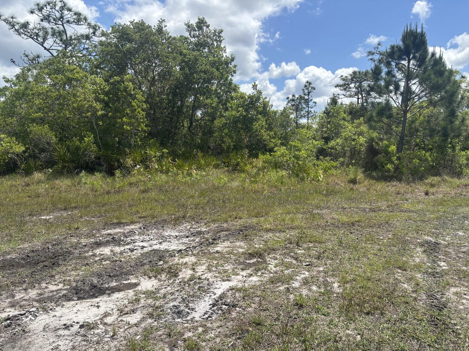 0 Holopaw Groves Road Property Photo 2