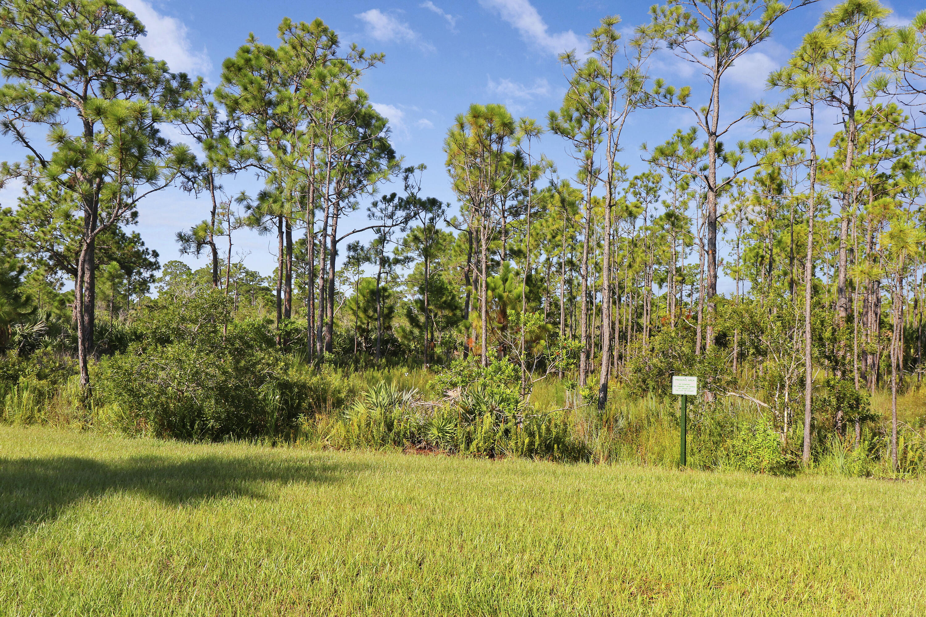 261 Osprey Preserve Boulevard Property Photo 86