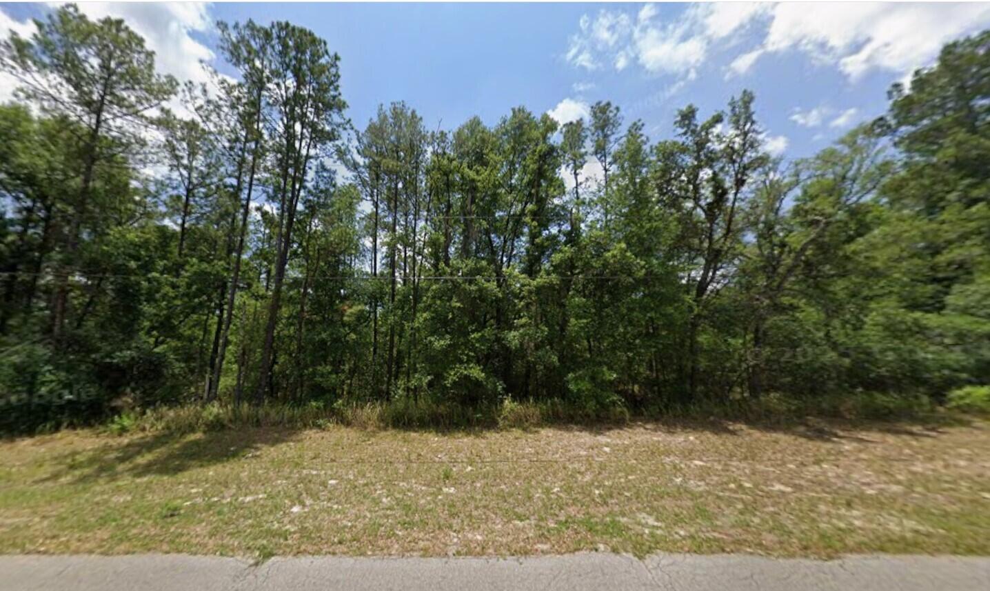 Tbd 128th Loop Property Photo 2