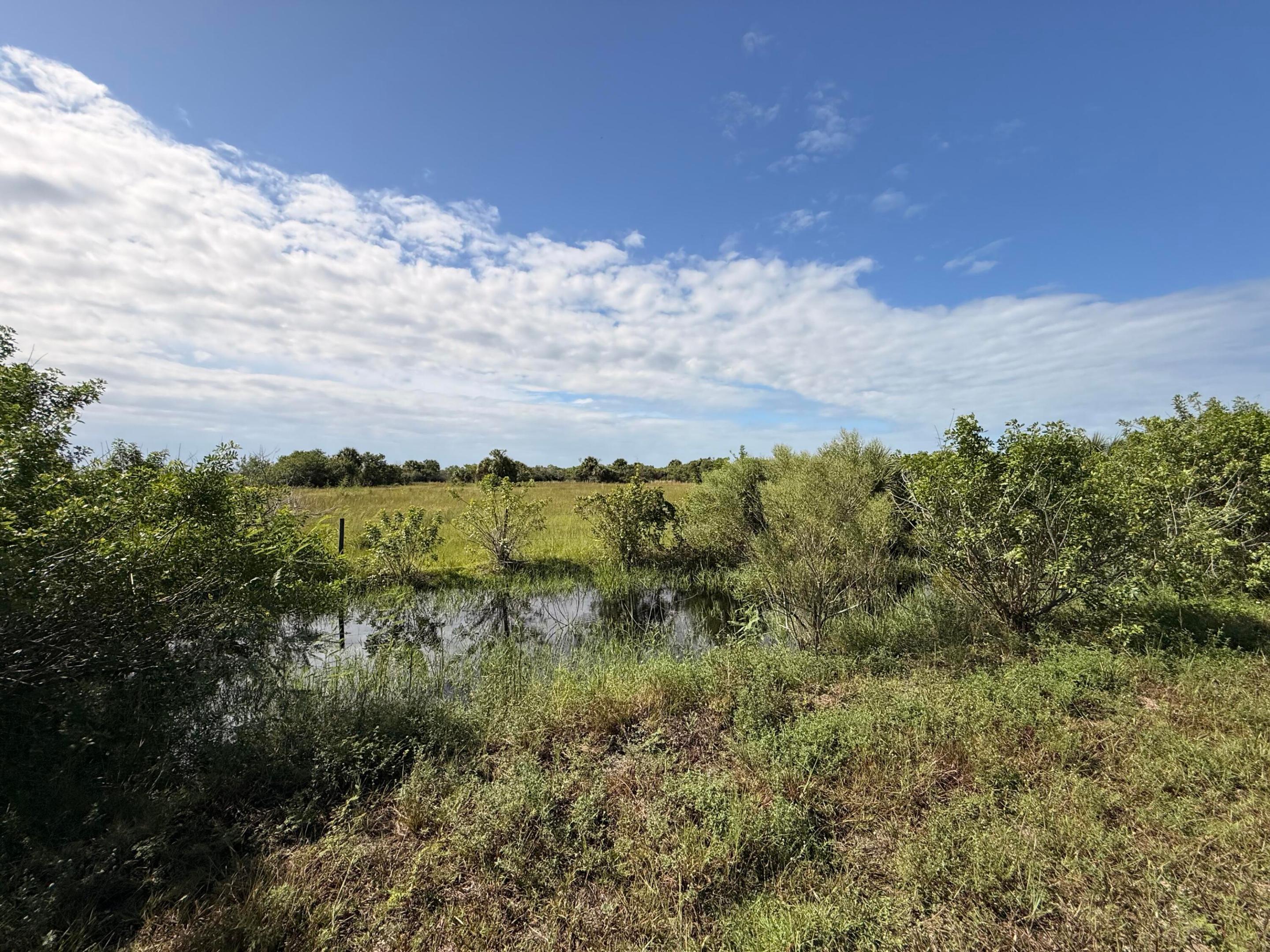 2348 Cabbage Lane Property Photo 6