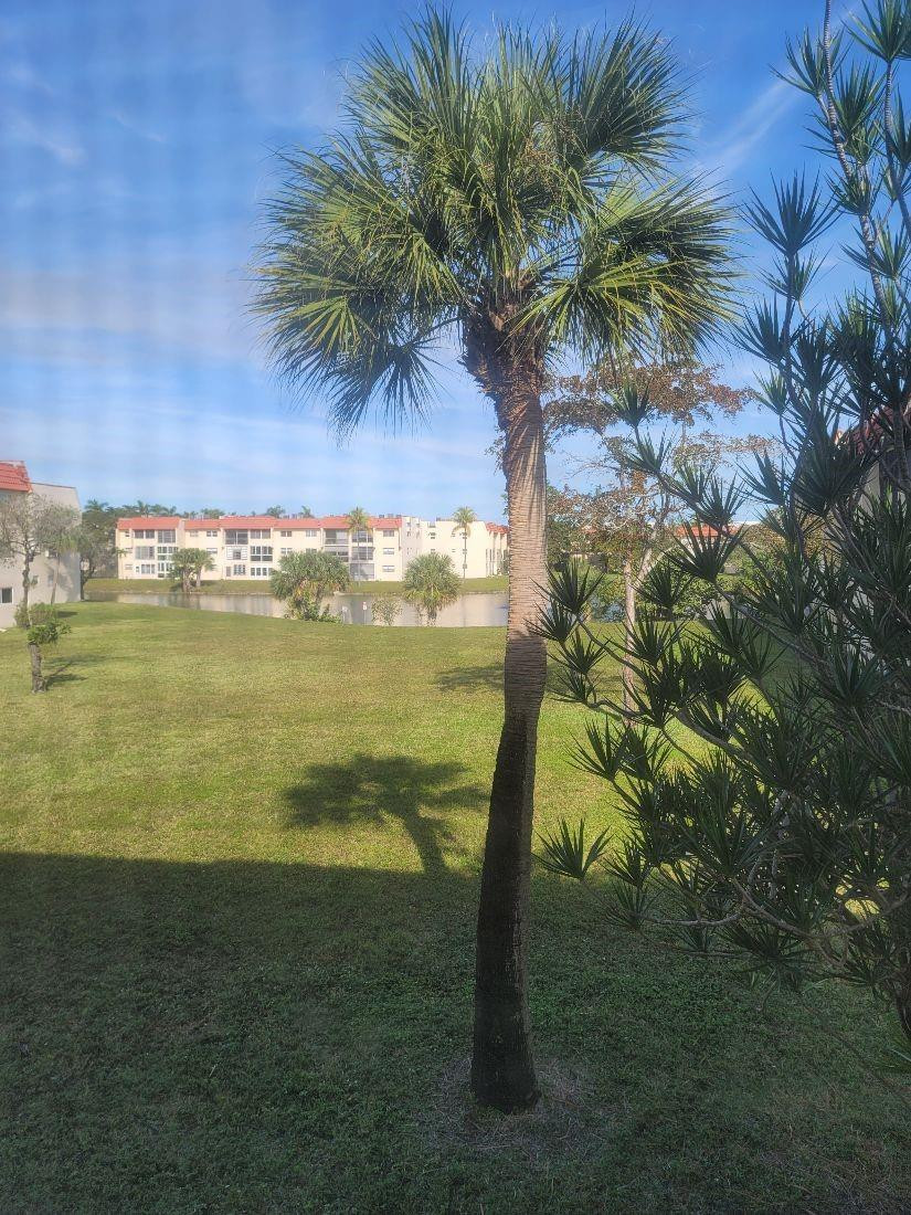 2951 Sunrise Lakes Drive E Property Photo 15