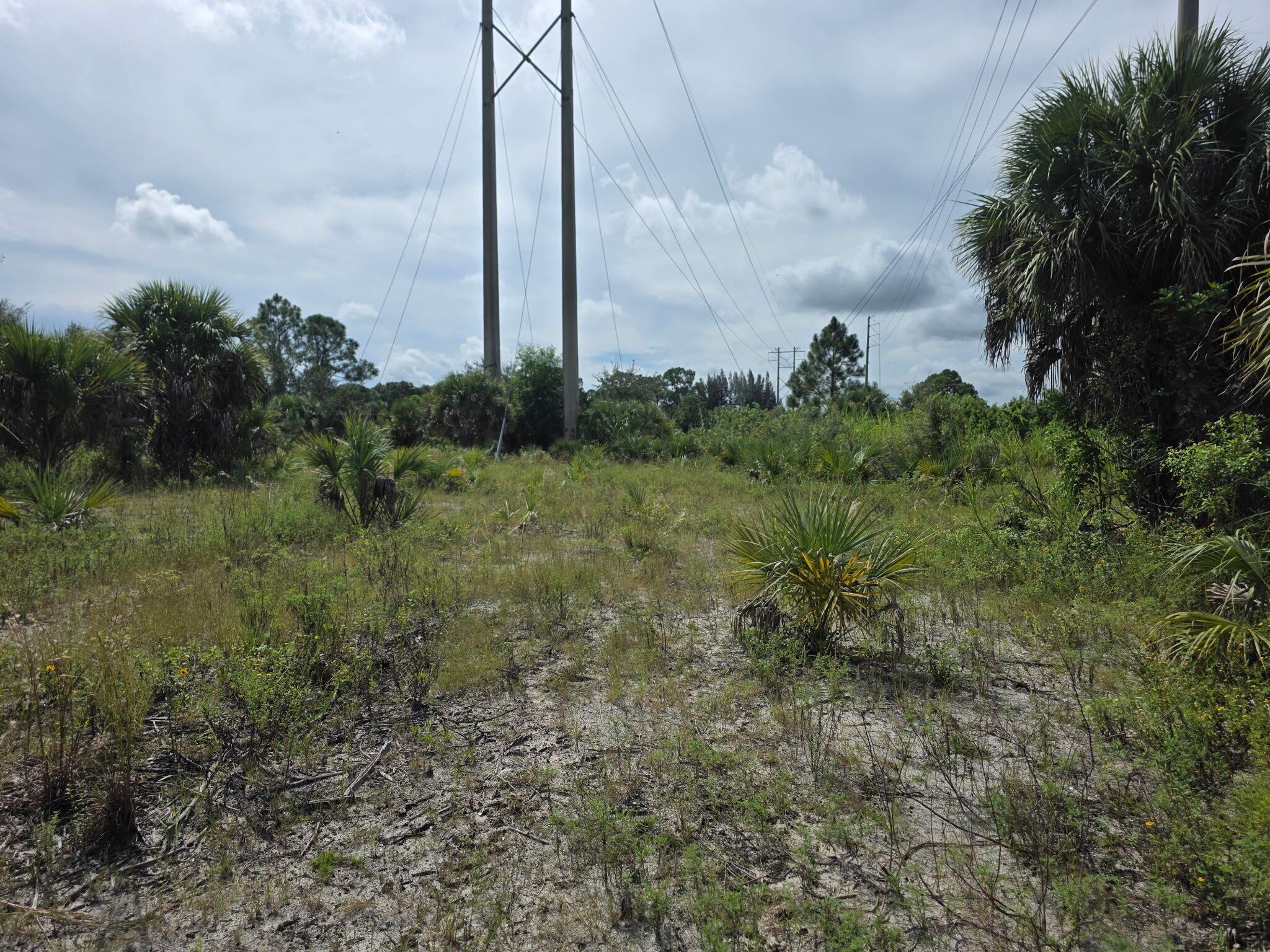 0 Sw Citrus Street Sw Property Photo 4