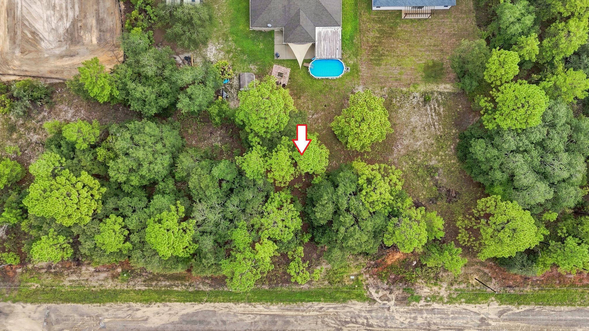 3837 W Malby Lane Property Photo 4
