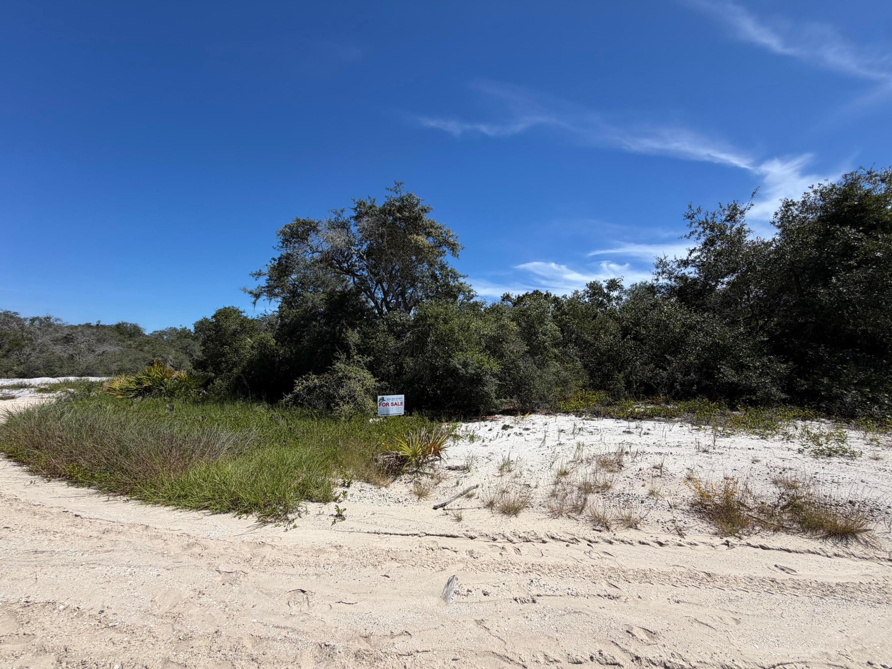 229 Rhythm Drive Property Photo 4