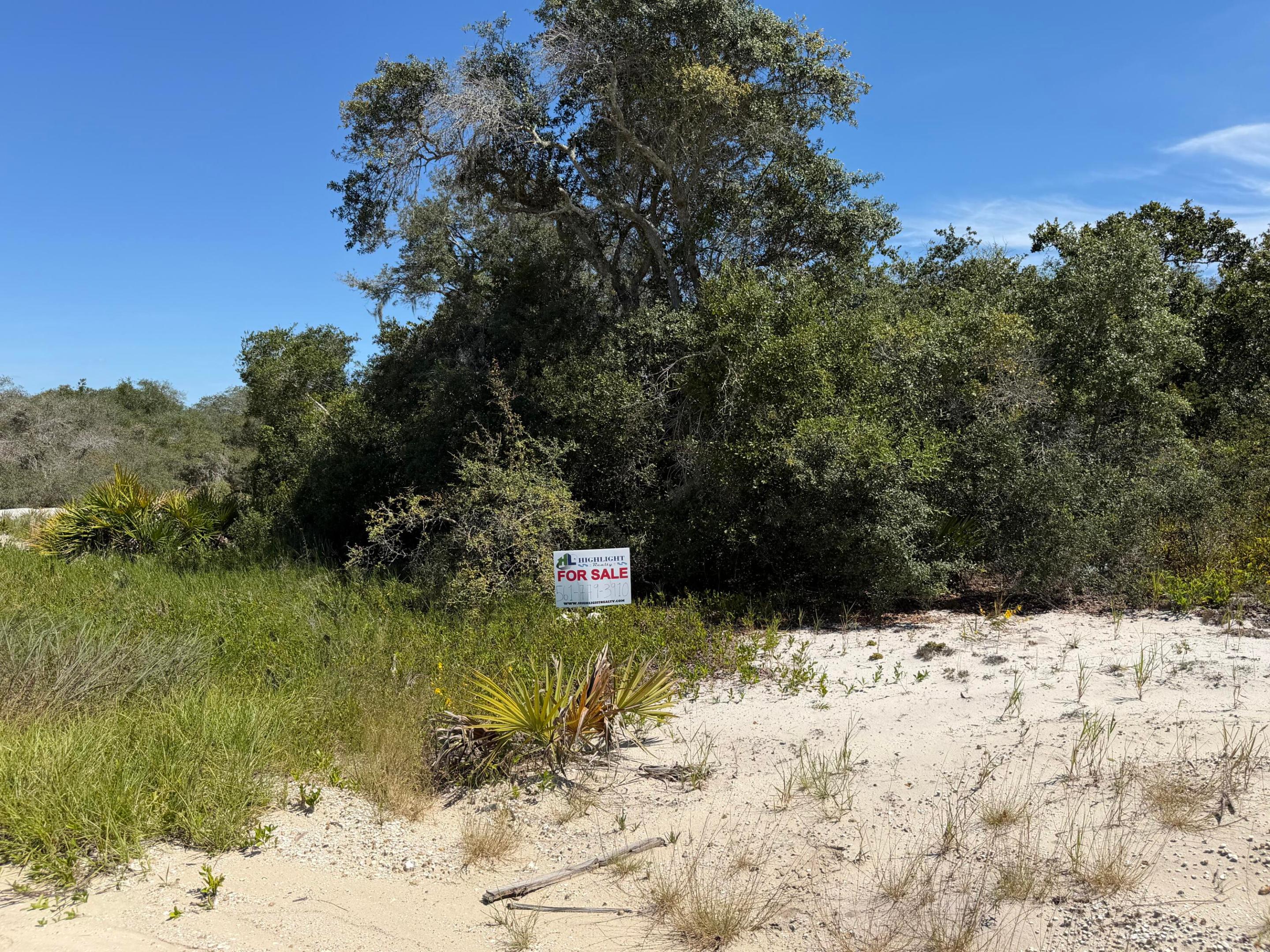 229 Rhythm Drive Property Photo 5