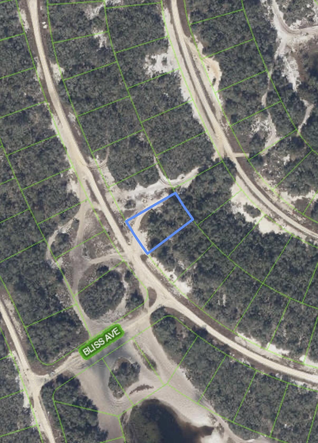 229 Rhythm Drive Property Photo 6