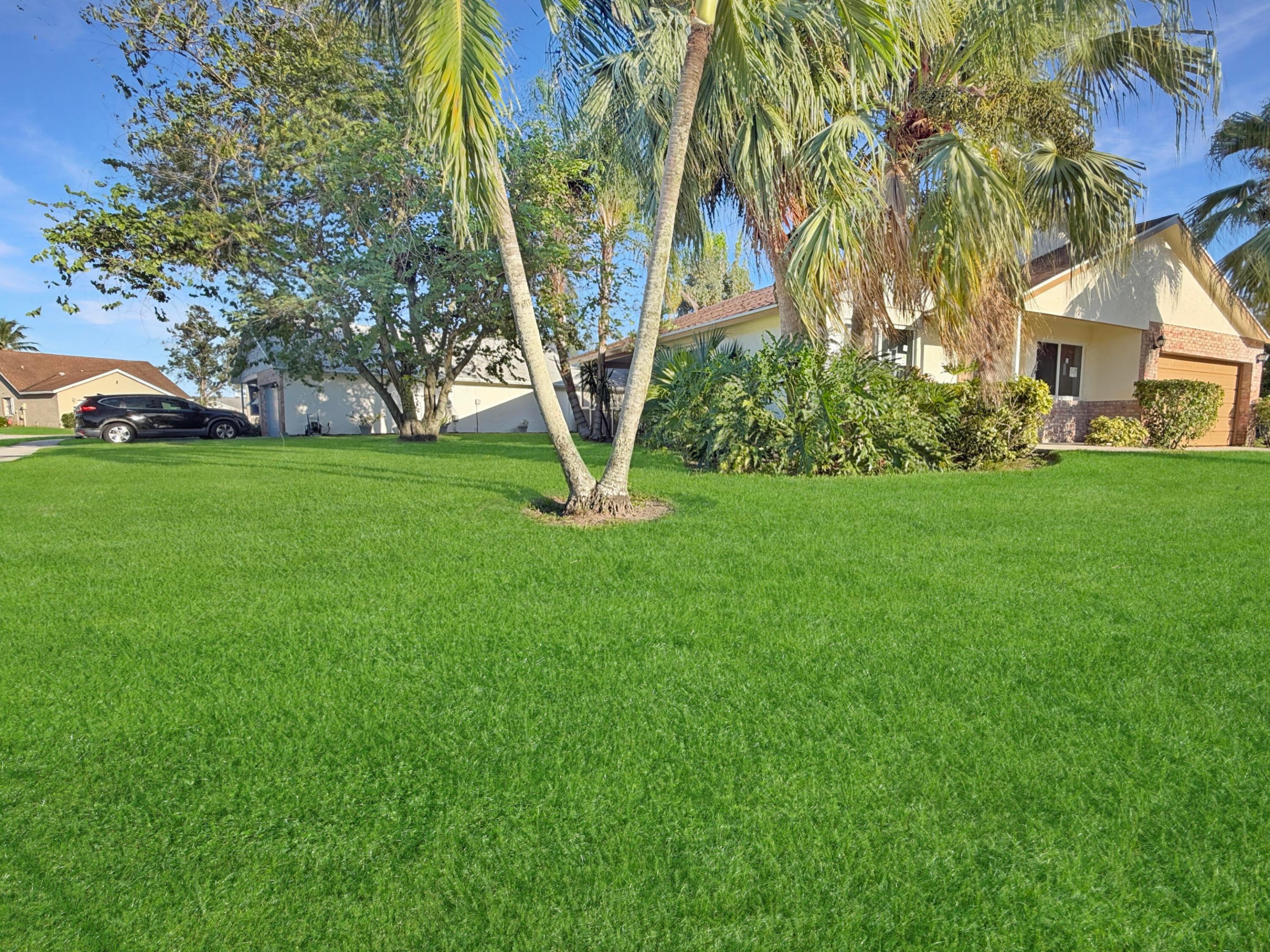 180 Raintree Trail Property Photo 7