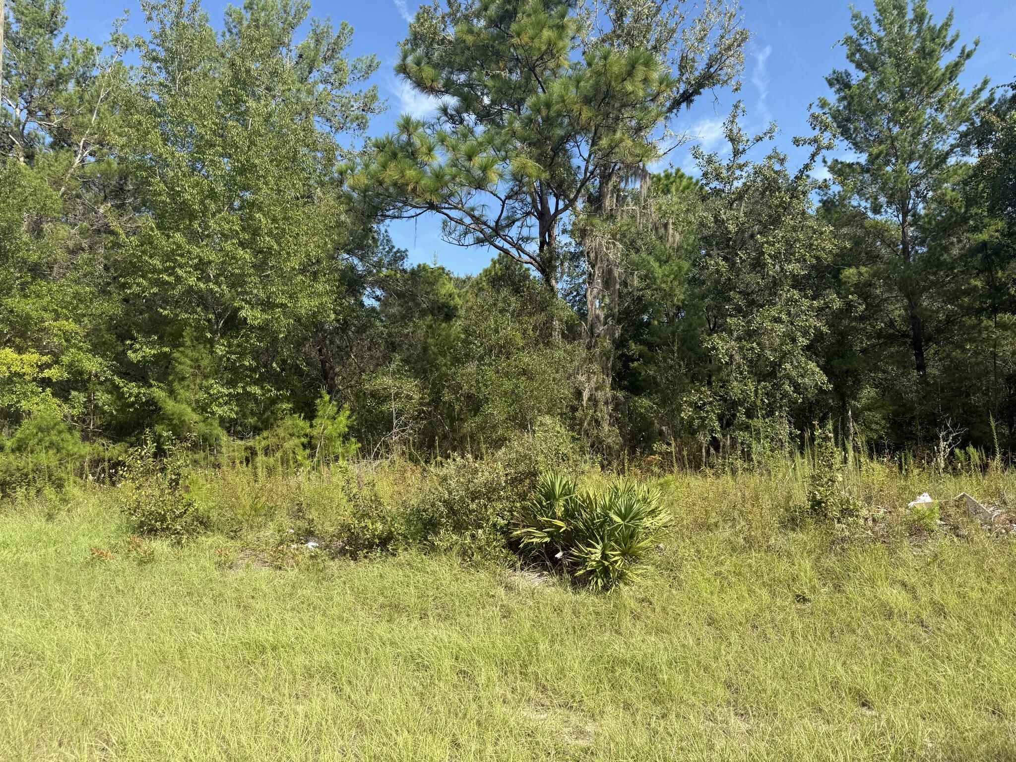 Tbd 79th Terrace Road Property Photo 1