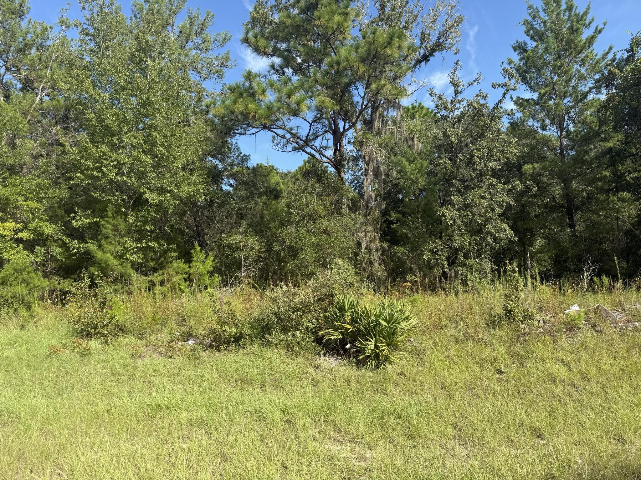 Tbd 79th Terrace Road Property Photo 2
