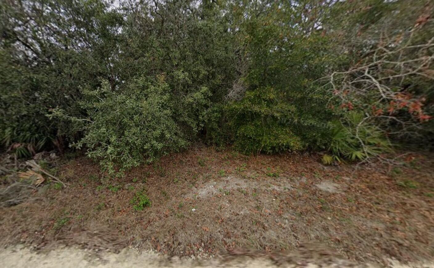 8343 Normandy Drive Property Photo 2