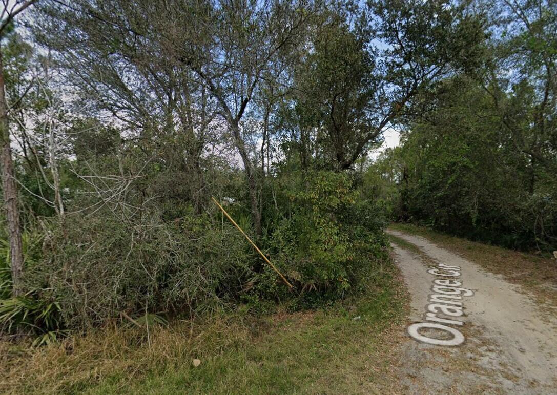 Tbd Orange Property Photo 3