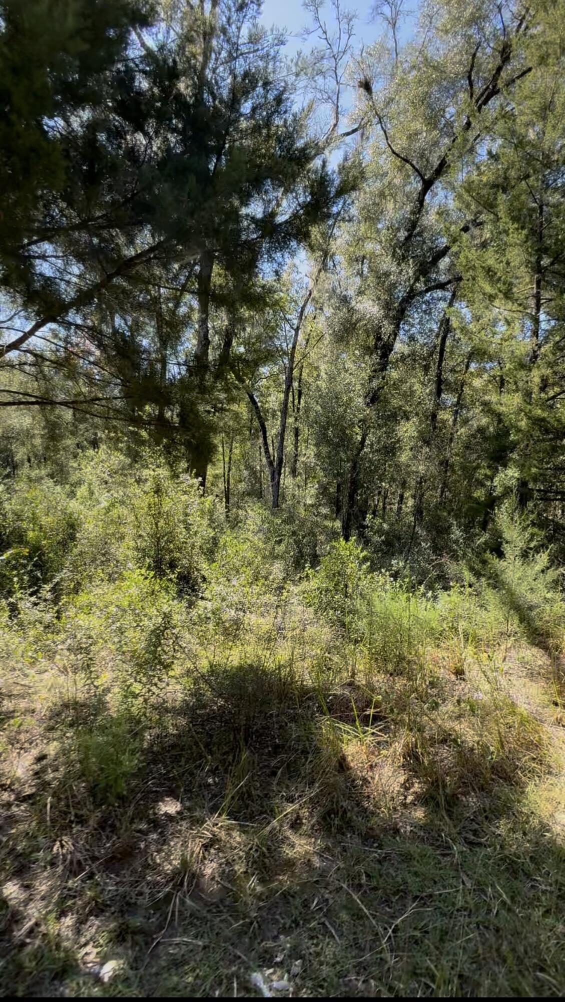 0 Ne 150 Court Property Photo 6