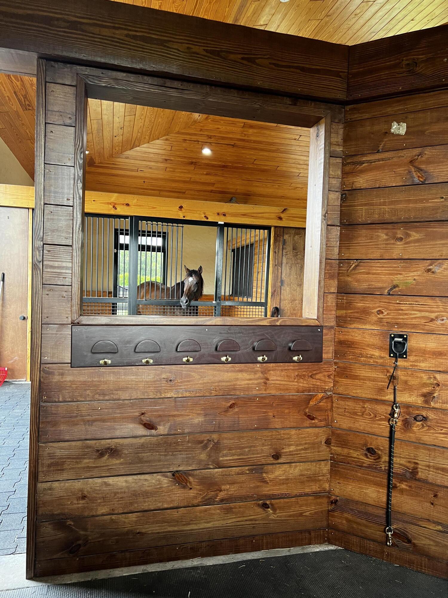 15317 Collecting Canal Road Property Photo 13