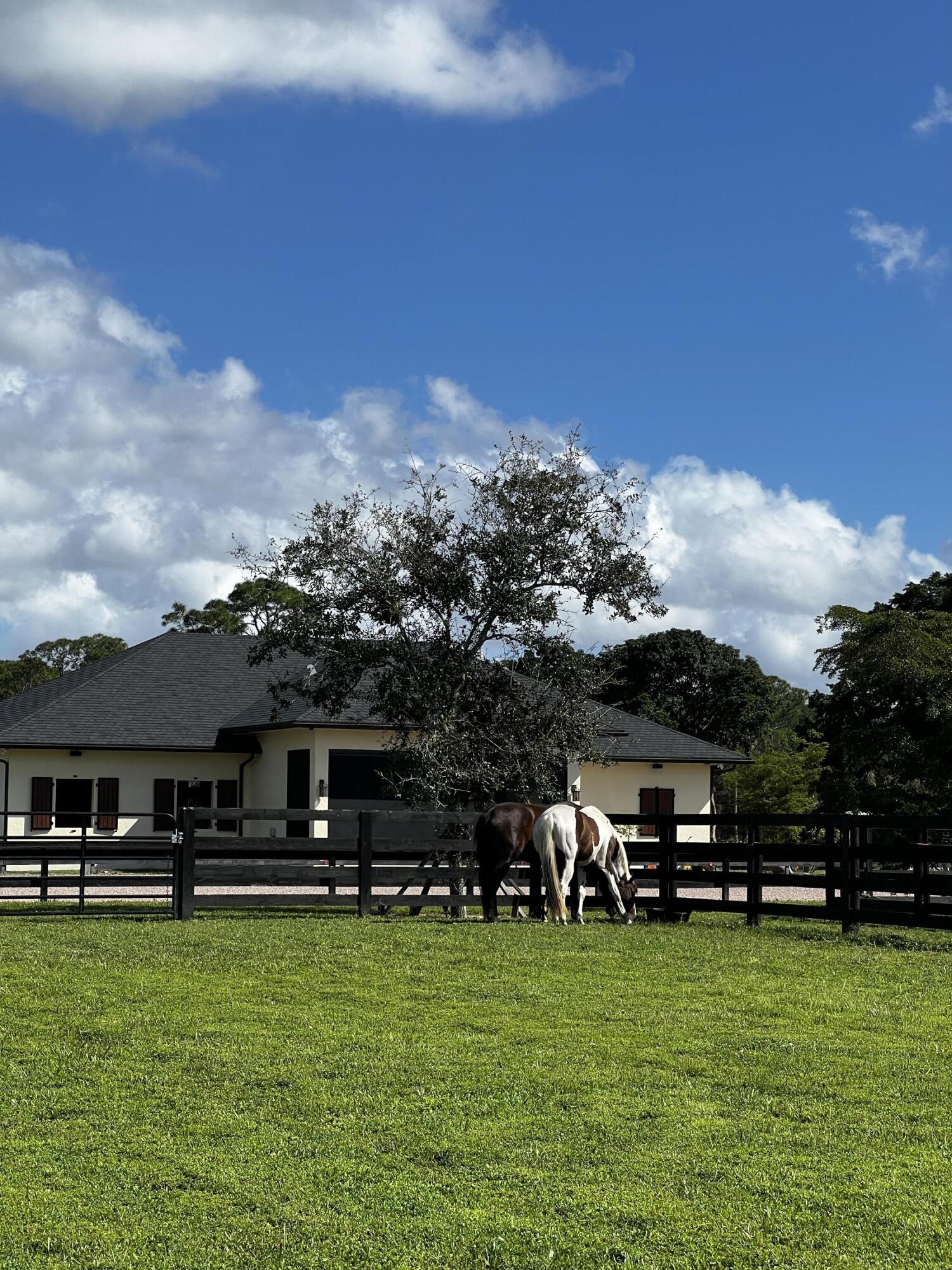 15317 Collecting Canal Road Property Photo 24