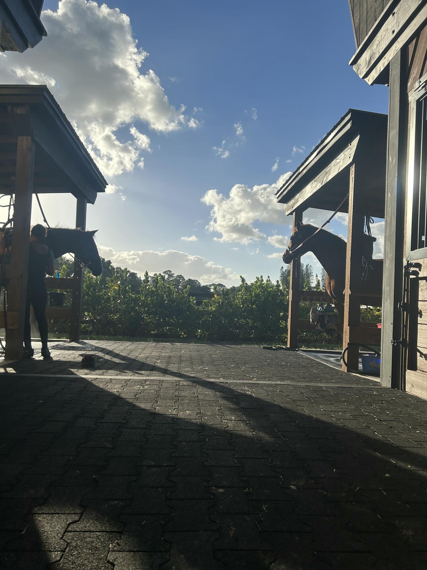 15317 Collecting Canal Road Property Photo 35