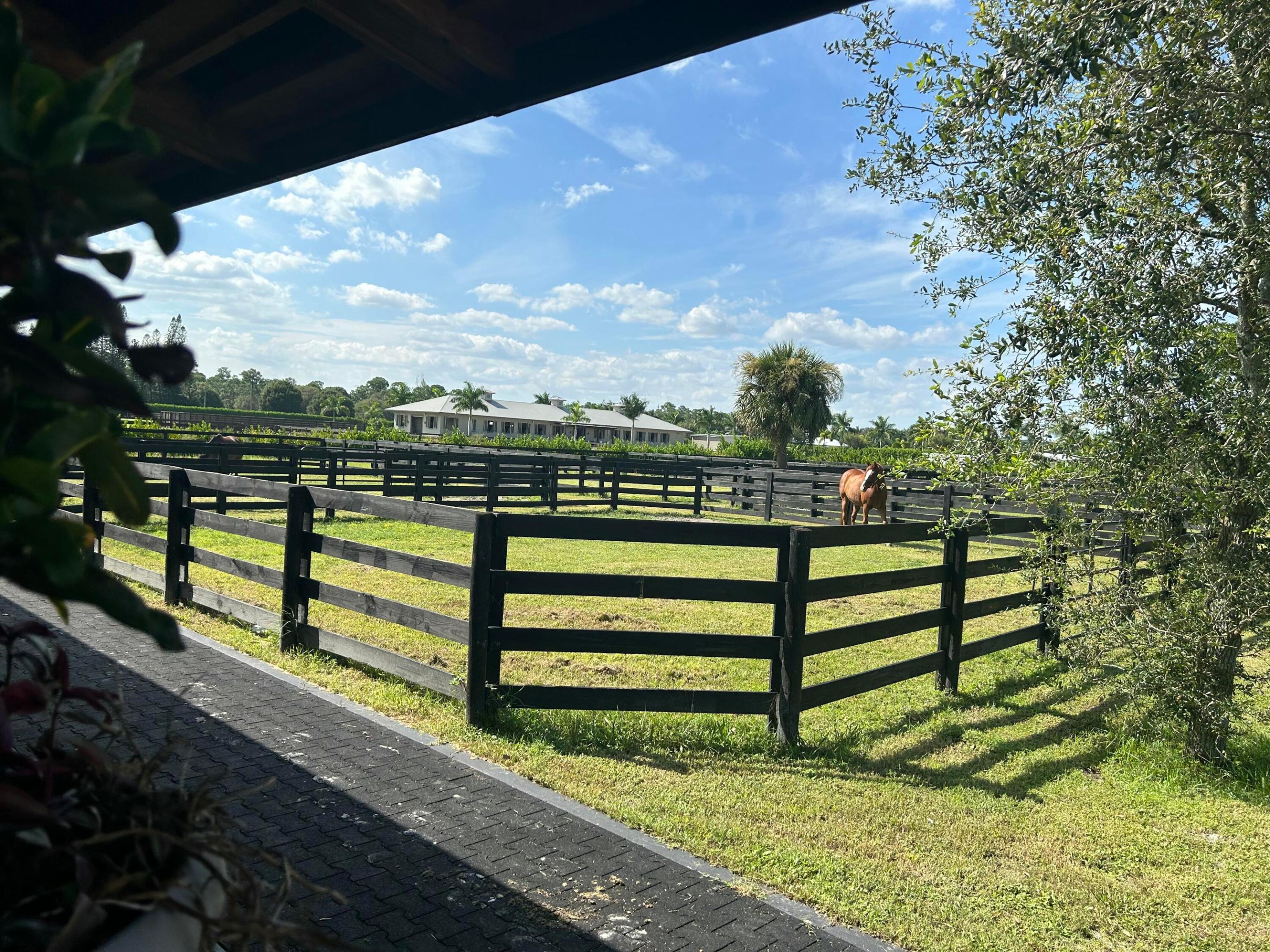 15317 Collecting Canal Road Property Photo 41