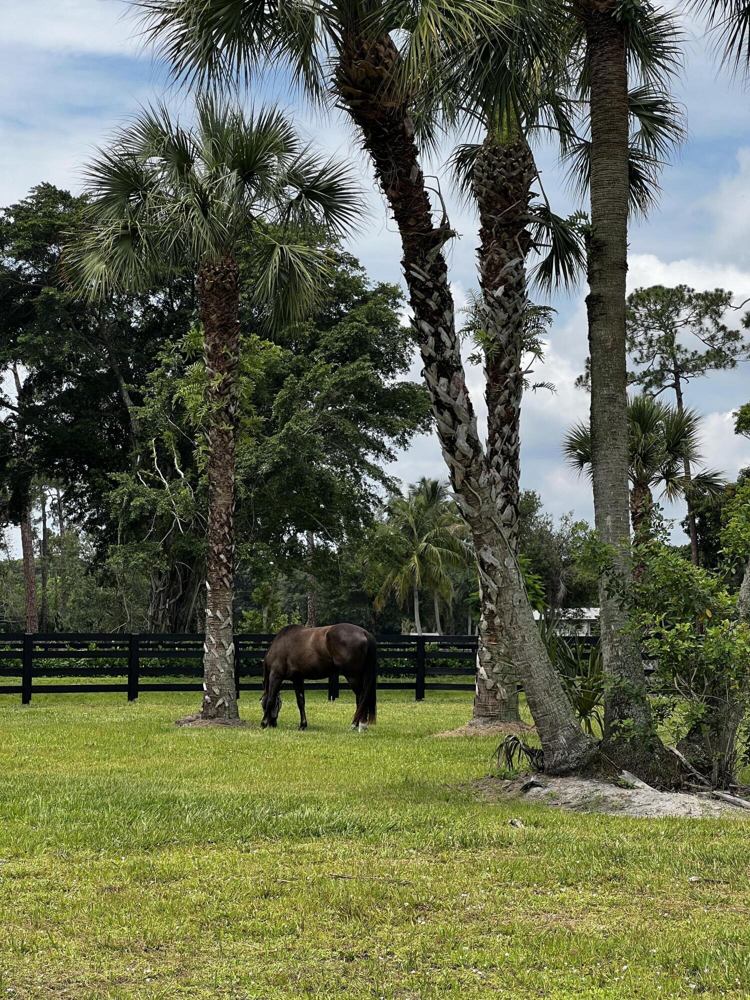 15317 Collecting Canal Road Property Photo 42