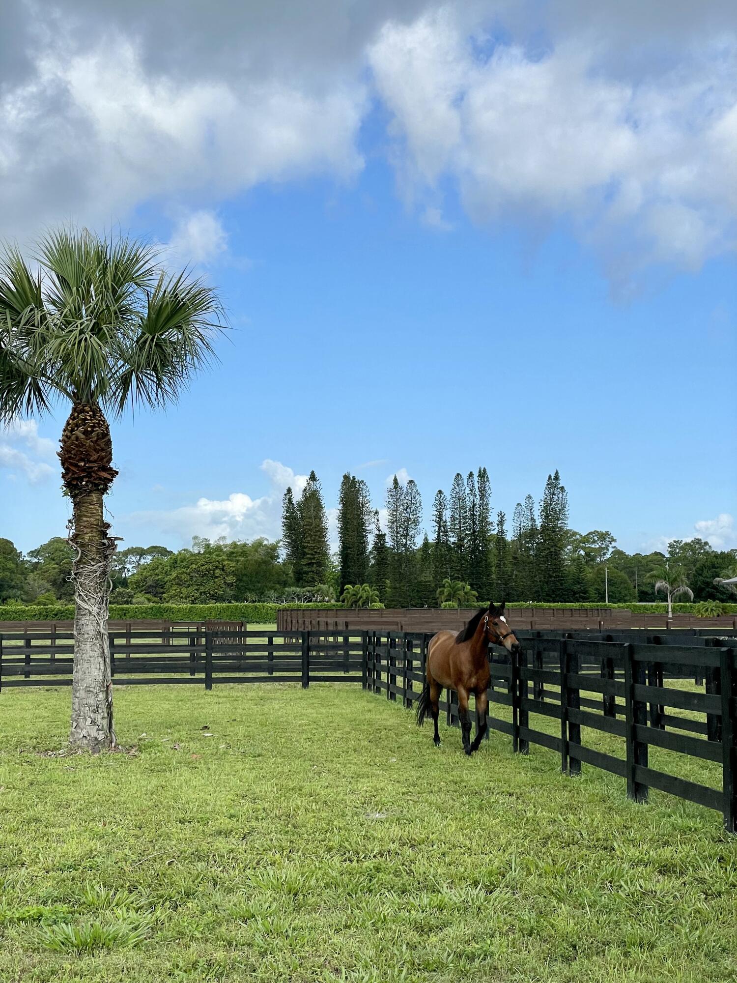 15317 Collecting Canal Road Property Photo 43