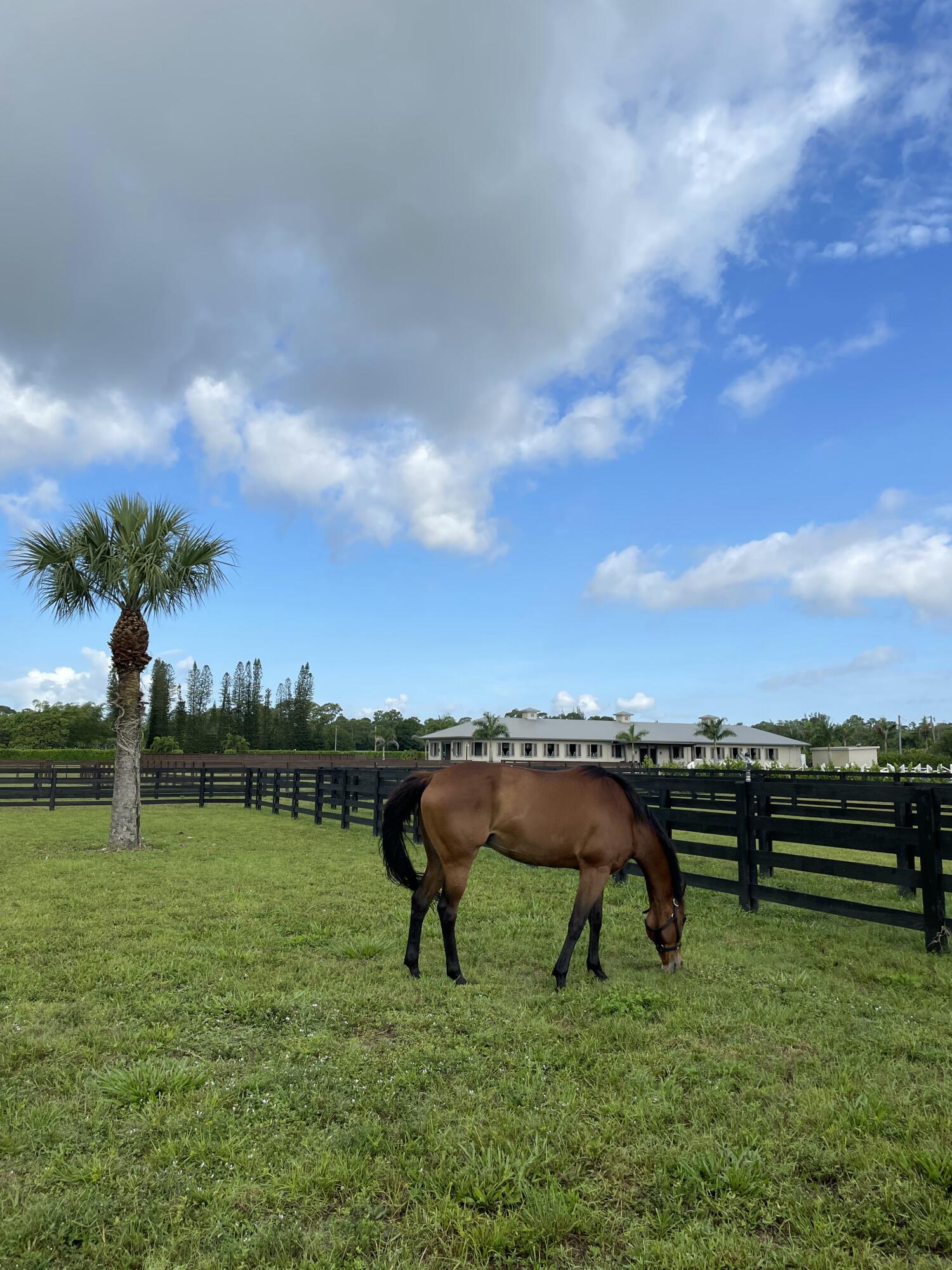 15317 Collecting Canal Road Property Photo 44