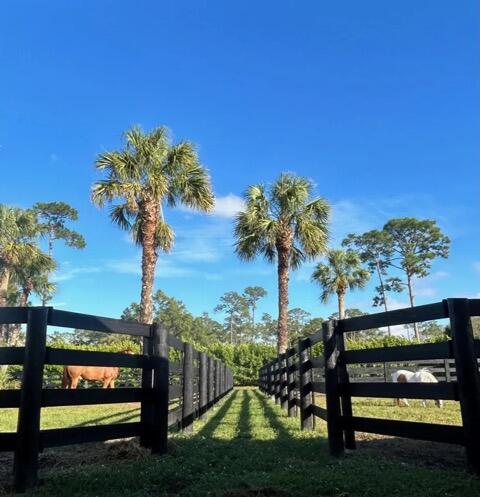 15317 Collecting Canal Road Property Photo 45