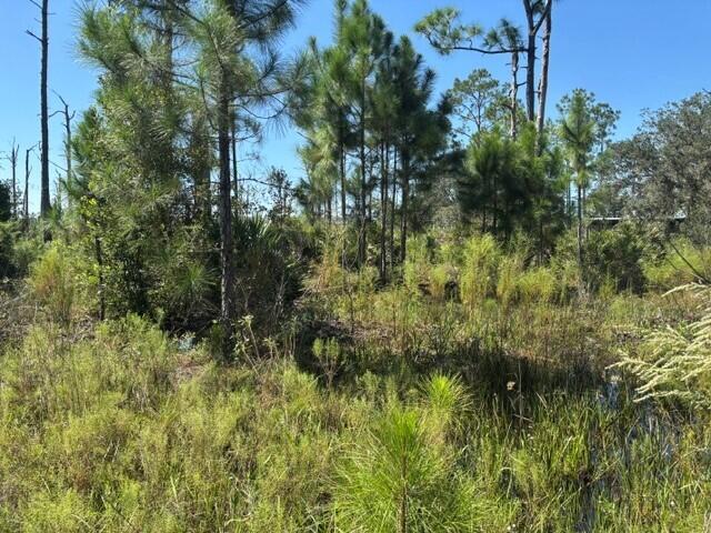 0 Hwy 630e Property Photo 3